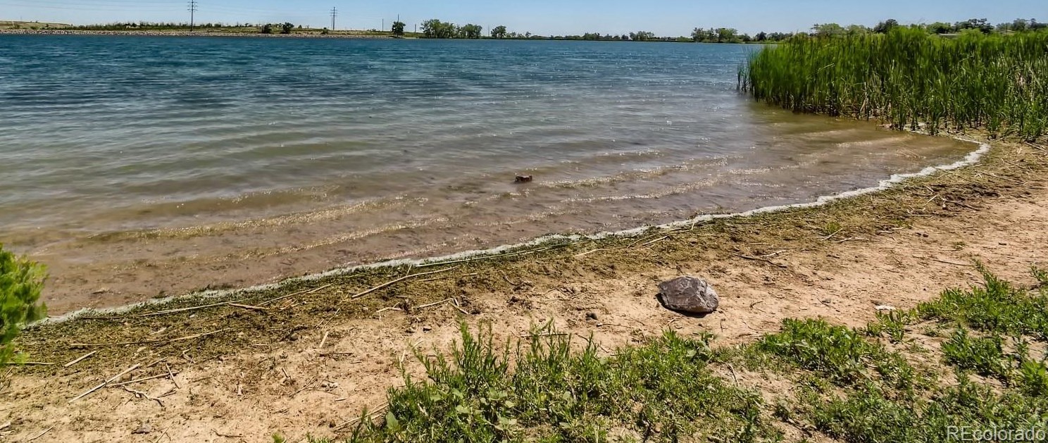 4416 Quail St, Littleton CO 80127-1026 exterior