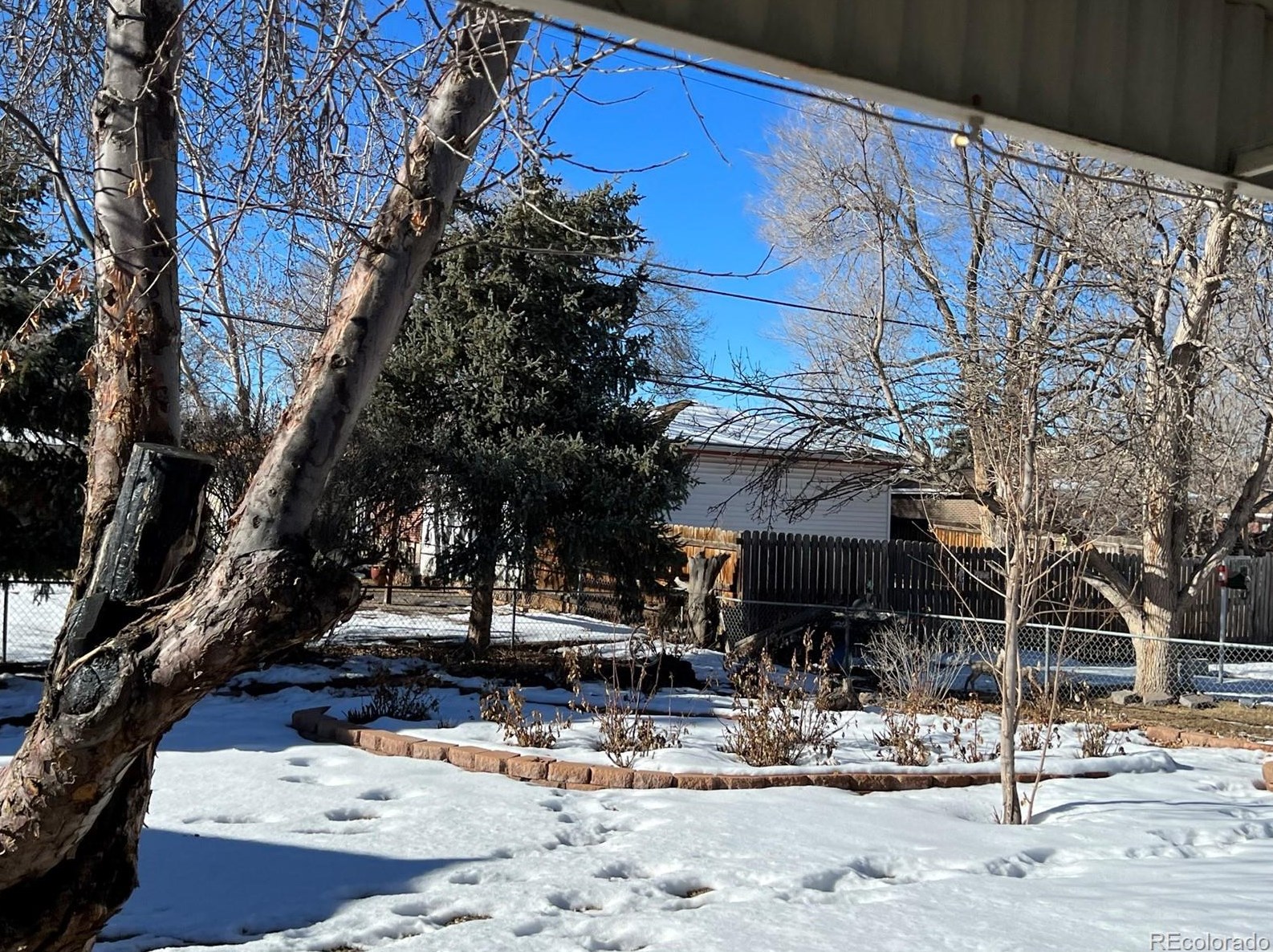 8357 Benton Way, Arvada CO  80003-1431 exterior