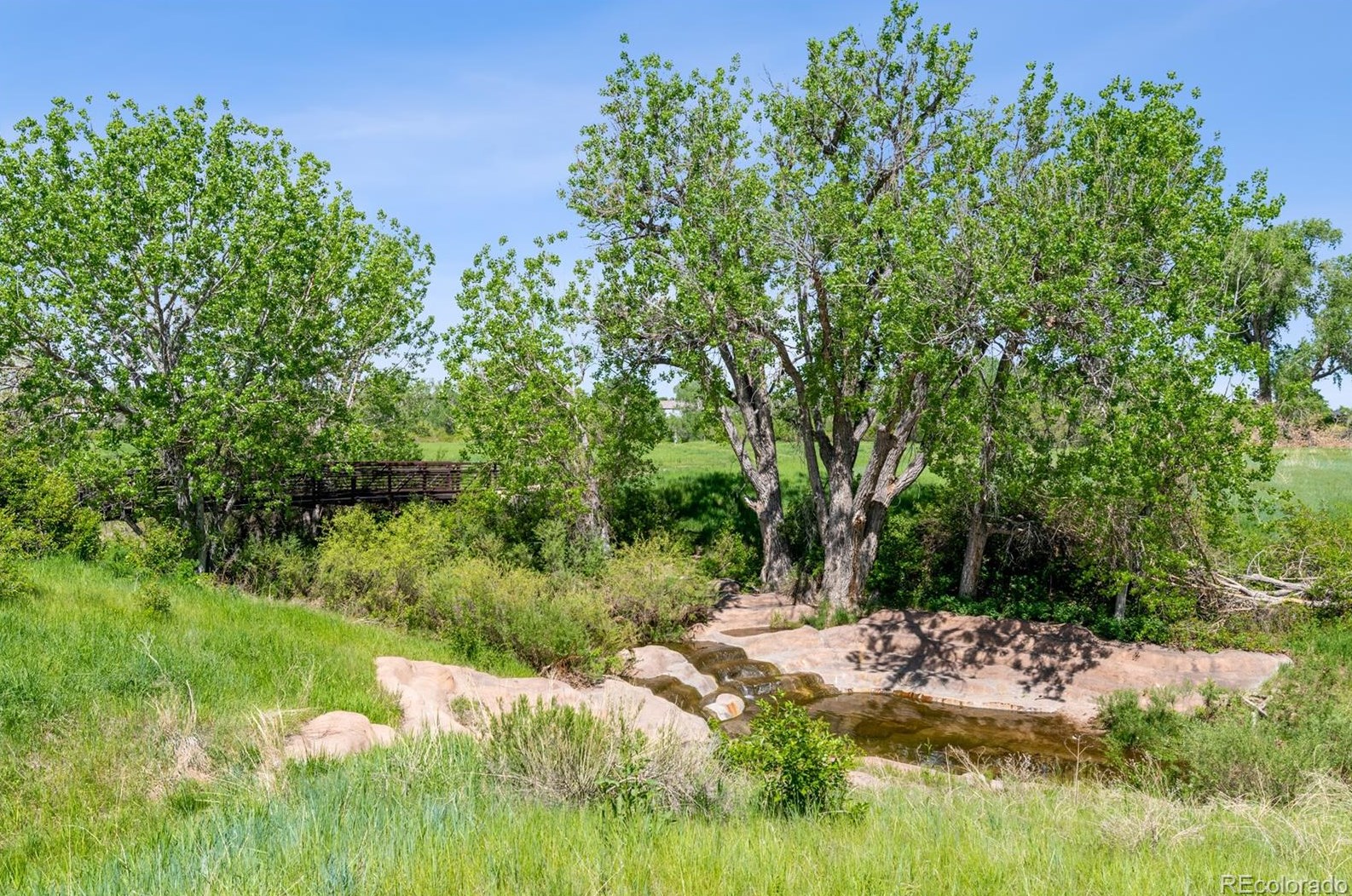 6027 Trailhead Rd, Littleton CO 80130-5327 exterior