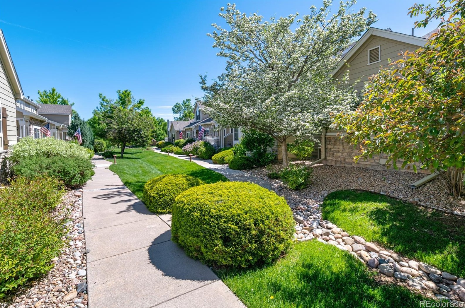 6027 Trailhead Rd, Littleton CO 80130-5327 exterior