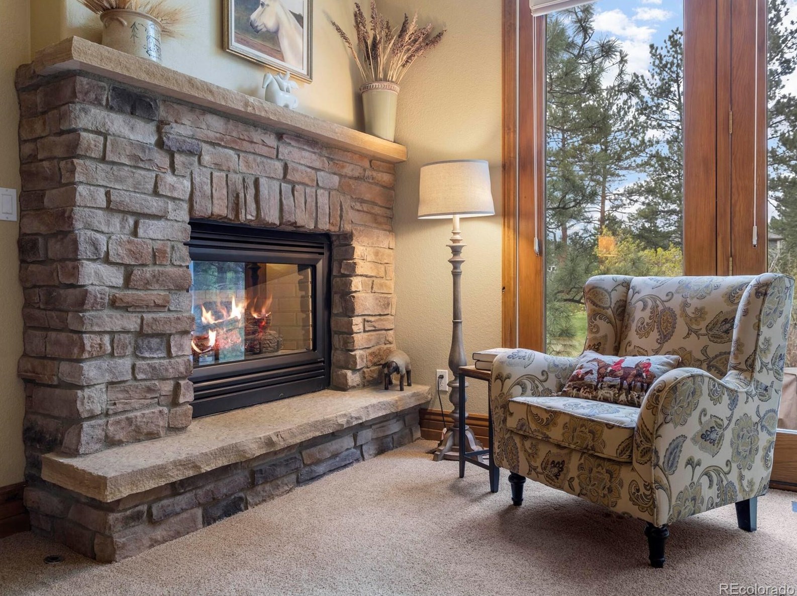 180 Ramshorn Dr, Castle Rock CO 80108-9058 exterior