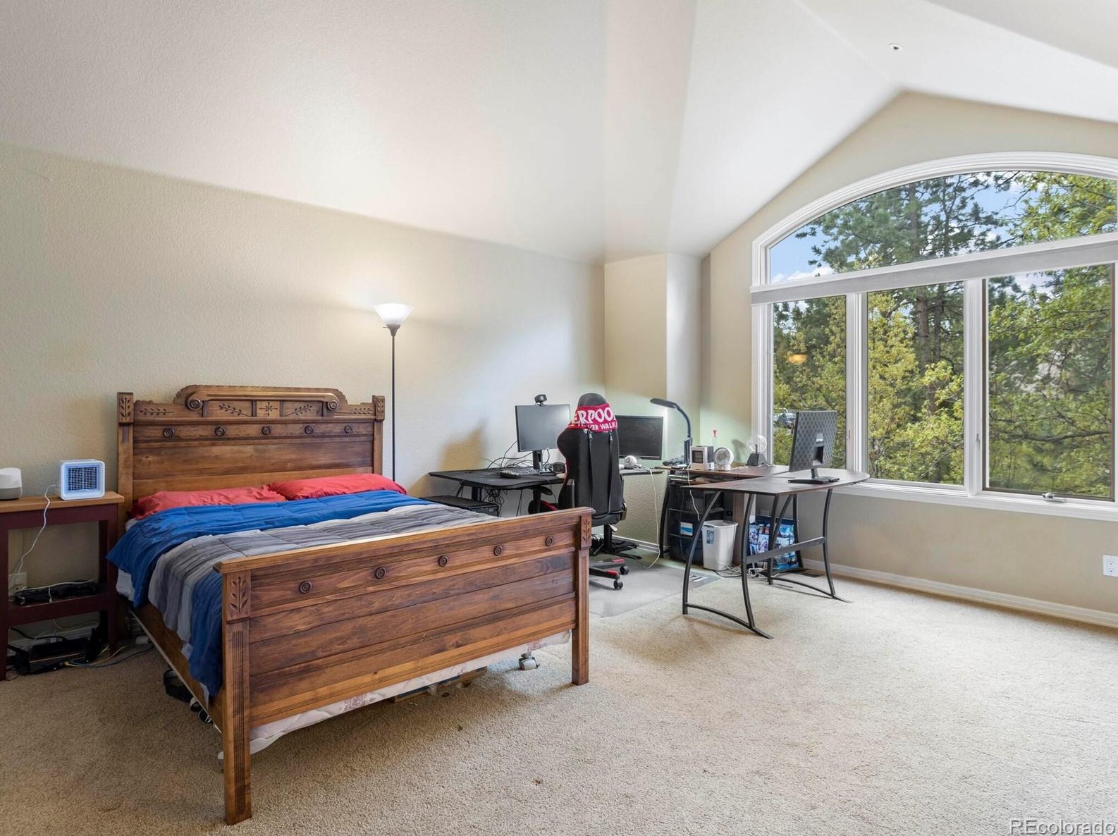 180 Ramshorn Dr, Castle Rock CO 80108-9058 exterior