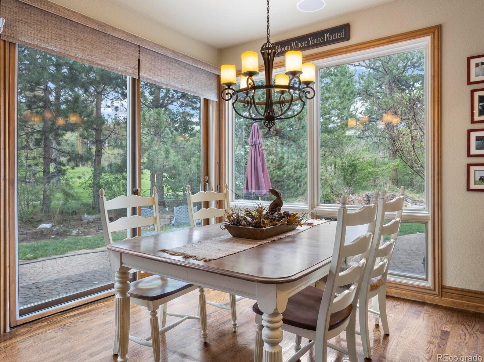 180 Ramshorn Dr, Castle Rock CO 80108-9058 exterior