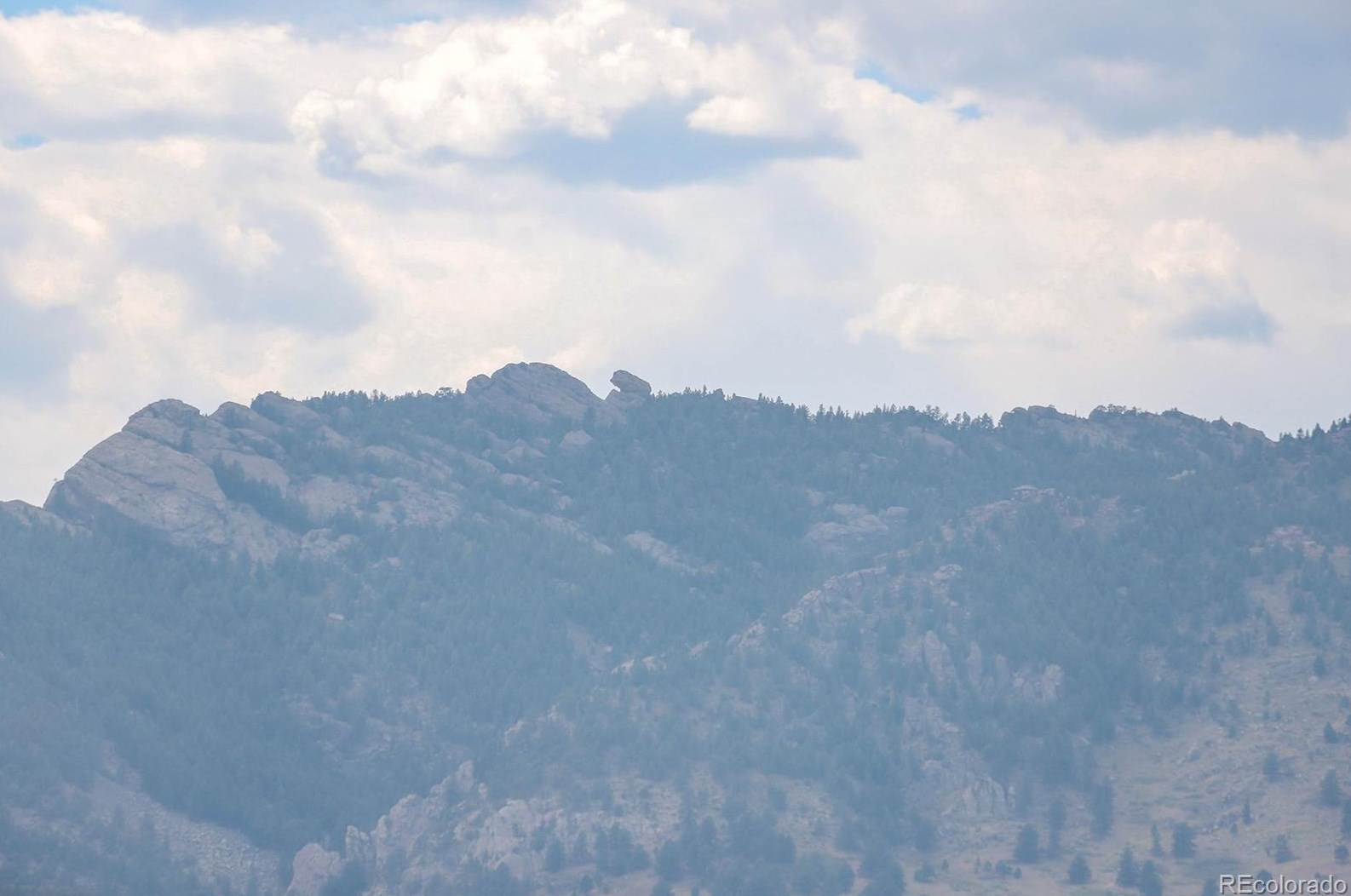 18589 84th Dr, Arvada CO  80007 exterior