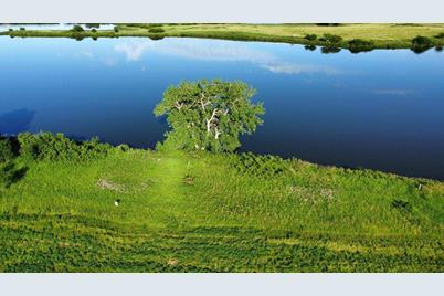 1020 Spink Lake Avenue, Balaton, MN 56115 - Photo 2