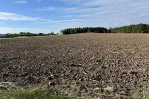 Tbd Pine Bluff (Site15) Rd NW, Pine Island, MN 55963 - Photo 1