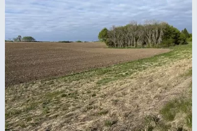 Tbd New Haven (Site 18) Road NW, Pine Island, MN 55963 - Photo 2