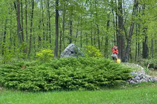 Lot 9 Bear Tract Ln NE, Longville, MN 56655 - Photo 1