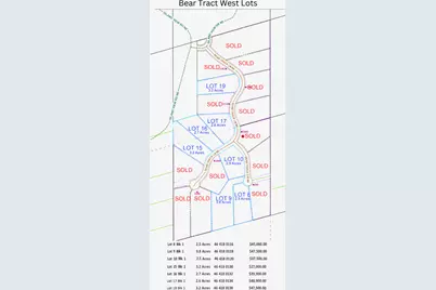 Lot 16 Bear Tract Lane NE, Longville, MN 56655 - Photo 6