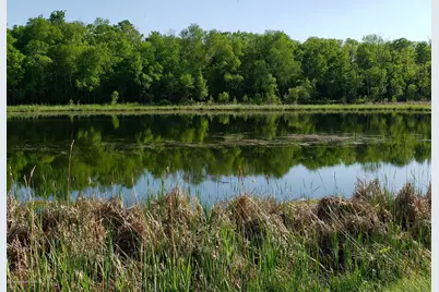 113 Altavista Drive, Detroit Lakes, MN 56501 - Photo 12