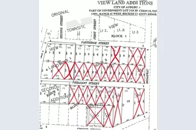 101 Partridge Street, Audubon, MN 56511 - Photo 12