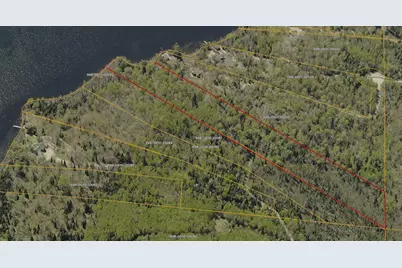 Parcel A S Niles Bay Forest Road, Orr, MN 55771 - Photo 8