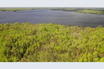 Parcel A S Niles Bay Forest Road, Orr, MN 55771 - Photo 6
