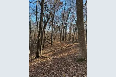 Xxx 263rd Street, Shafer, MN 55074 - Photo 12