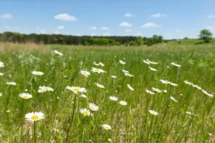 168 Sandpiper Ln, Marine on Saint Croix, MN 55047 - Photo 10