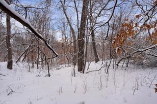 13828 Quentin Ave S - Photo 36