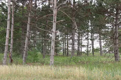 1941 Long Pine Drive, Detroit Lakes, MN 56501 - Photo 8