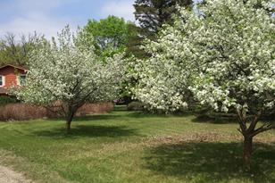 5257 Country Creek Ct SE - Photo 46
