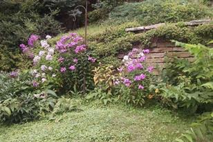 12830 April Ln - Photo 22