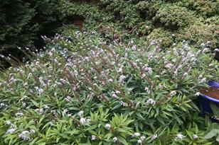 12830 April Ln - Photo 26