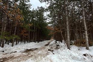 78567 Weeping Willow Rd - Photo 4