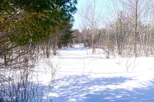 8647 190th St - Photo 10