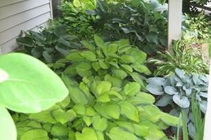 1253 Edgehill Ct - Photo 28