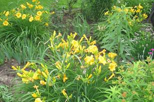 1253 Edgehill Ct - Photo 26