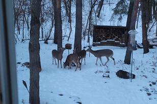 2841 Carver Park Cir, Woodbury, MN 55125 - Photo 34