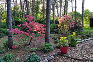 2841 Carver Park Cir, Woodbury, MN 55125 - Photo 36