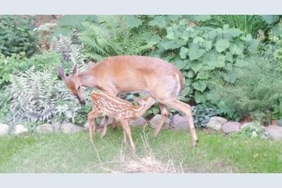 2841 Carver Park Circle, Woodbury, MN 55125 - Photo 32