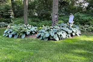 50284 287th Ave - Photo 32