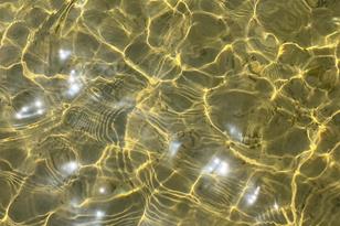 1838 Yellow Moccasin Trail - Photo 44