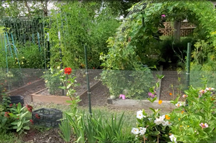 804 Woodridge Dr, Chaska MN  55318-1266 exterior