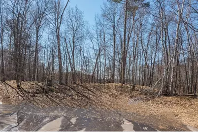 Tbd Gregory Drive SW, Sylvan Twp, MN 56473 - Photo 6