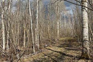 50143 State Hwy 11 - Photo 58