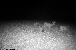 50143 State Hwy 11 - Photo 60