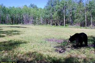 50143 State Hwy 11 - Photo 66