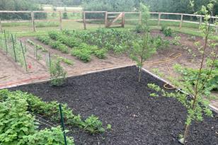 50143 State Hwy 11 - Photo 44