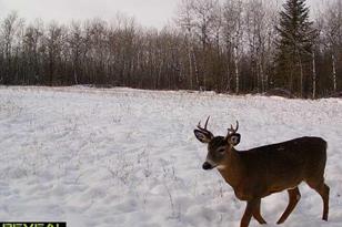 50143 State Hwy 11 - Photo 70