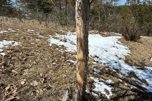 27818 County 29 - Photo 42