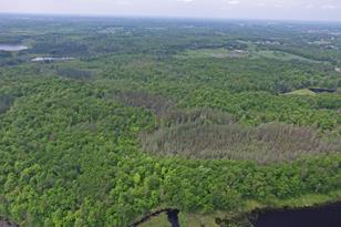 38257 Dove St, Spencer Twp, MN 56431 - Photo 50