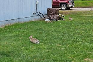 520 Geary Ave NE - Photo 26