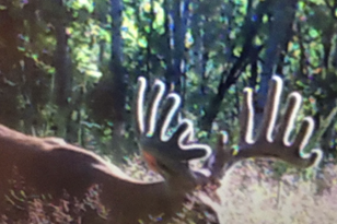 11250 Park Rd, Alex, MN 56308-8249