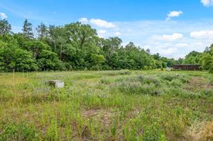 38171 Mica Ave - Photo 48