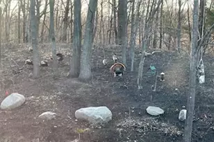 4310 Deere Trl, Chaska, MN 55318 - Photo 26