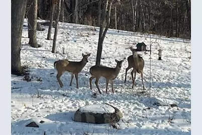 4310 Deere Trail, Chaska, MN 55318 - Photo 24