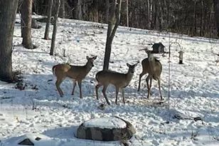 4310 Deere Trl, Chaska, MN 55318 - Photo 24