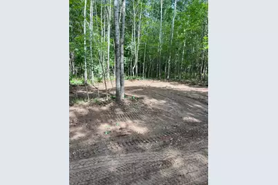Xxxx Kielkucki Trail Lot 3, Webb Lake, WI 54830 - Photo 1
