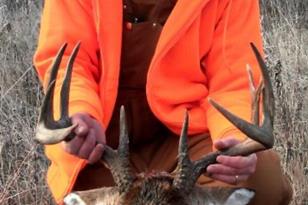 3007 59th St, Hackett, MN 56623-2661